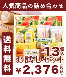 送料無料お試しセット