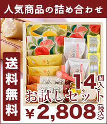 送料無料お試しセット