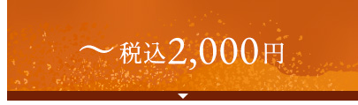 ～税込2,000円