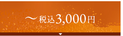 ～税込3,000円