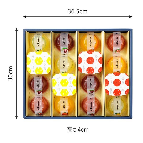 土佐の果物ゼリー 土佐の日曜市（15個入）