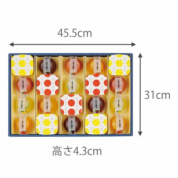 土佐の果物ゼリー 土佐の日曜市（20個入）