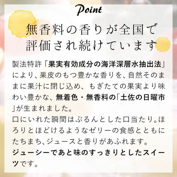 土佐の果物ゼリー 土佐の日曜市（20個入）