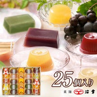土佐の日曜市・水ようかん・涼味三昧詰合せ25個入