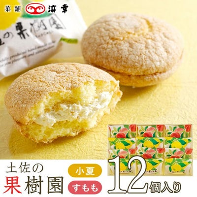  土佐の果樹園12コ入