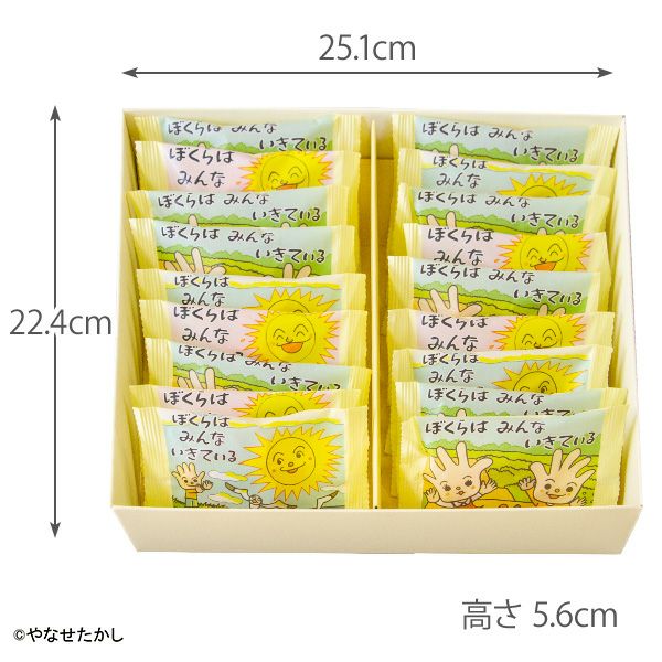 ぼくらはみんないきている（18個入） 